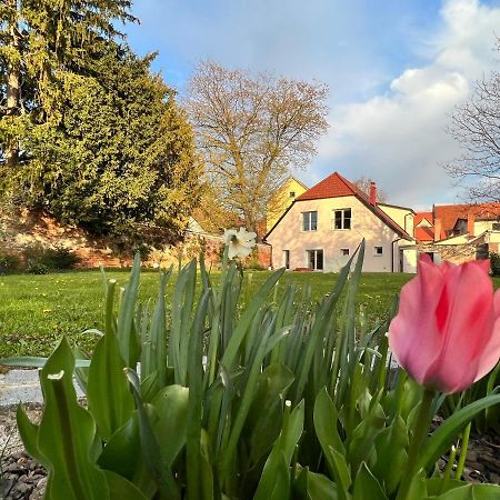 Om Yoga Center Apartamento Slovenska Bistrica Exterior foto