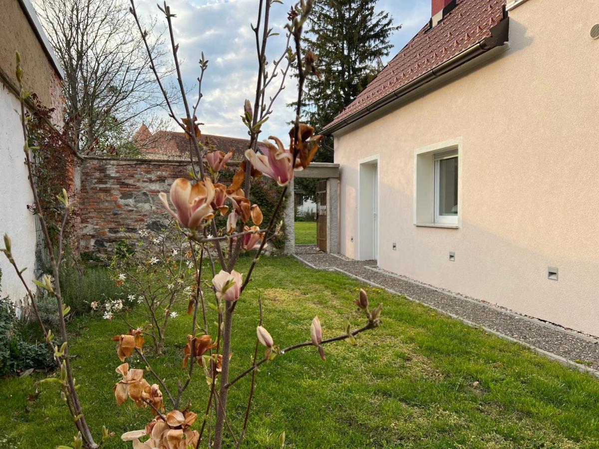 Om Yoga Center Apartamento Slovenska Bistrica Exterior foto